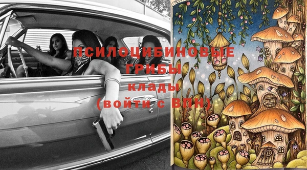 гидропоника Арсеньев