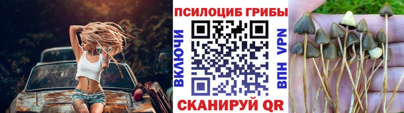 цены   OMG маркетплейс  Галлюциногенные грибы прущие грибы  Сосенский 